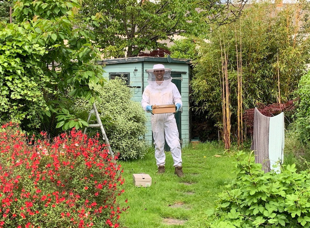 Carrying the bees in a shoebox