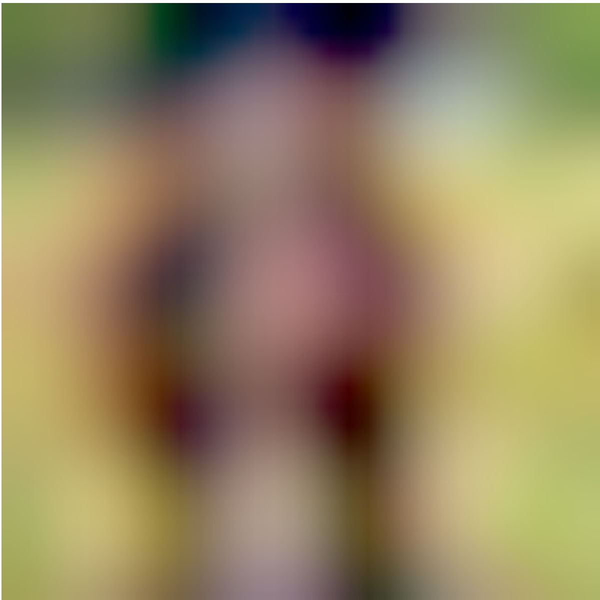 Blurhash’d picture of a dog