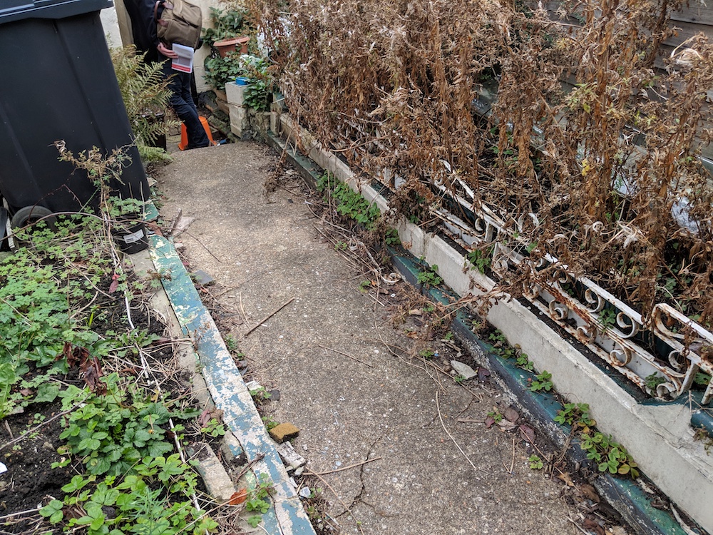 Dead and overgrown raised beds
